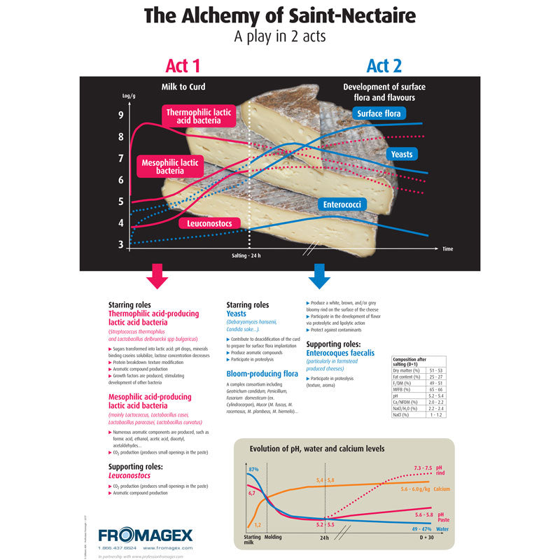 Poster - The Alchemy of St-Nectaire