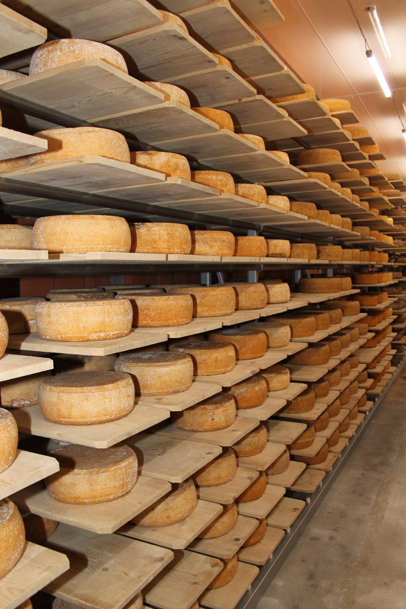 Moisture & temperature influence on cheese in storage