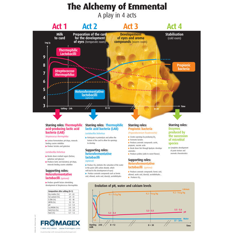 Poster - The Alchemy of Emmental